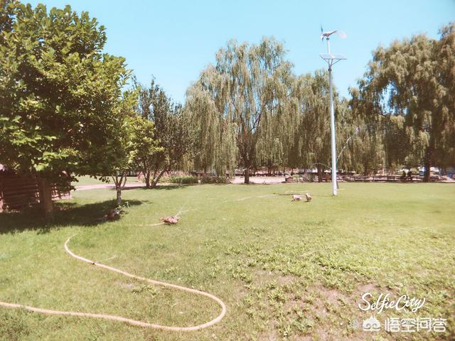 对外经济贸易大学怎么样,就业前景如何（对外经贸大学怎么样?就业前景）