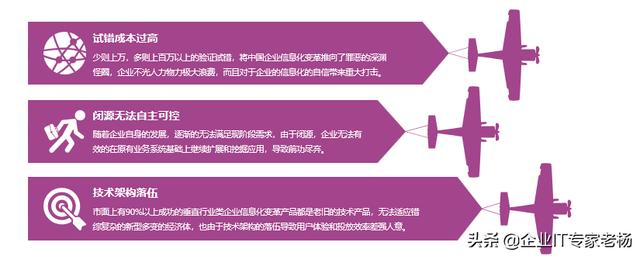 二次开发平台，请问各大企业的领导层次用的什么呀？