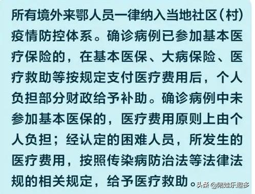 武汉出现境外输入病例（湖北为什么没有境外输入病例）