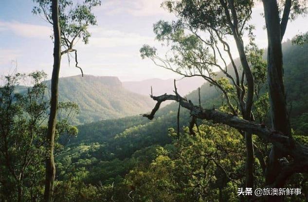 澳洲最宜居的城市（澳洲适合人类居住吗）