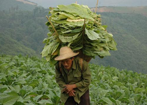 现在还有什么普通人不太知道的暴利行业知乎（没人注意的暴利行业有哪些）