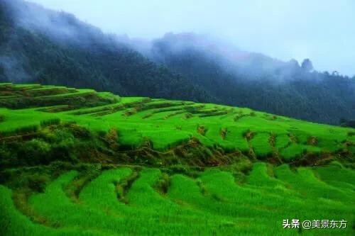 五一游玩好去处广东（广东附近五一去哪玩最好）