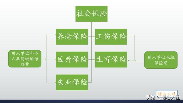 听说很多工厂订单都取消了，要从四月份放假到六月份是真的吗？