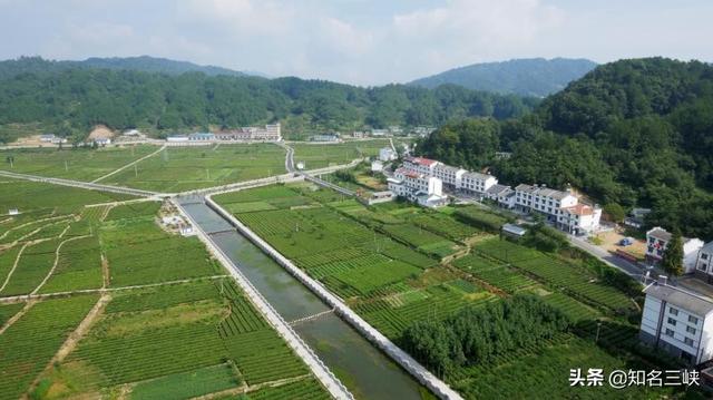 基地销售模式（企业基地农户三结合运行机制发展前景）