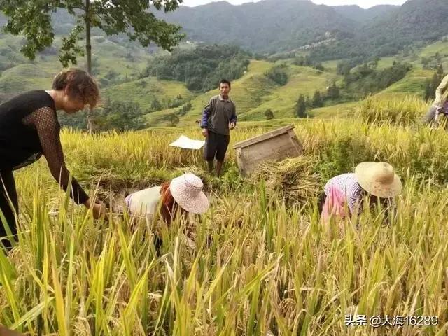 温铁军说农民向社会贡献了剩余，这个剩余指的是什么？