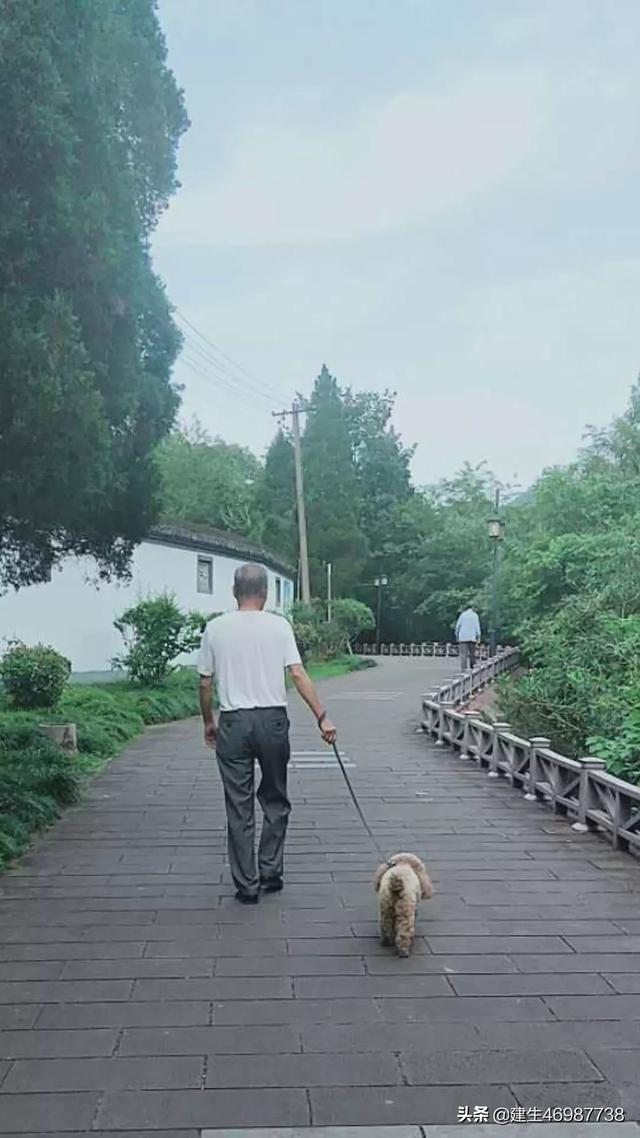 人如何排解寂寞（一个人生活怎样排除寂寞）